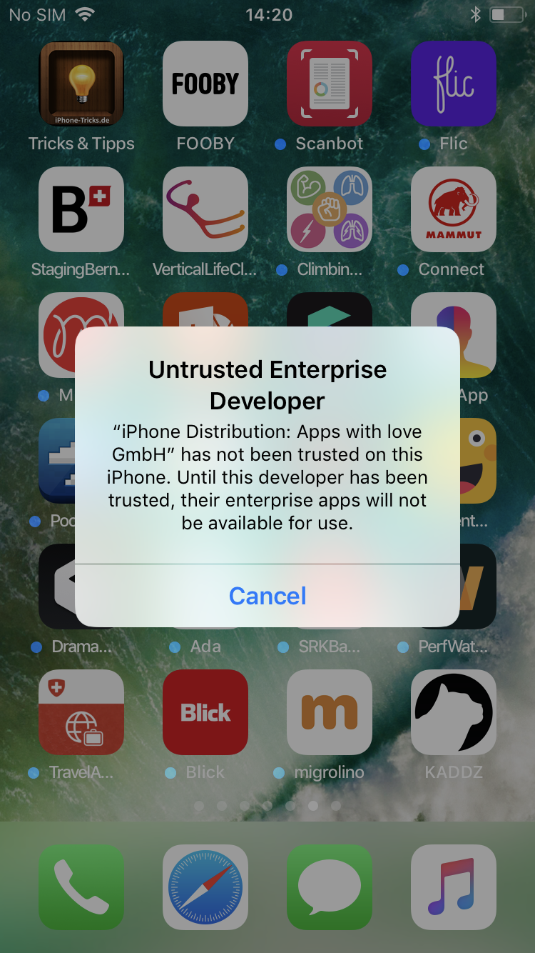Untrusted Enterprise Developer Ipa.png