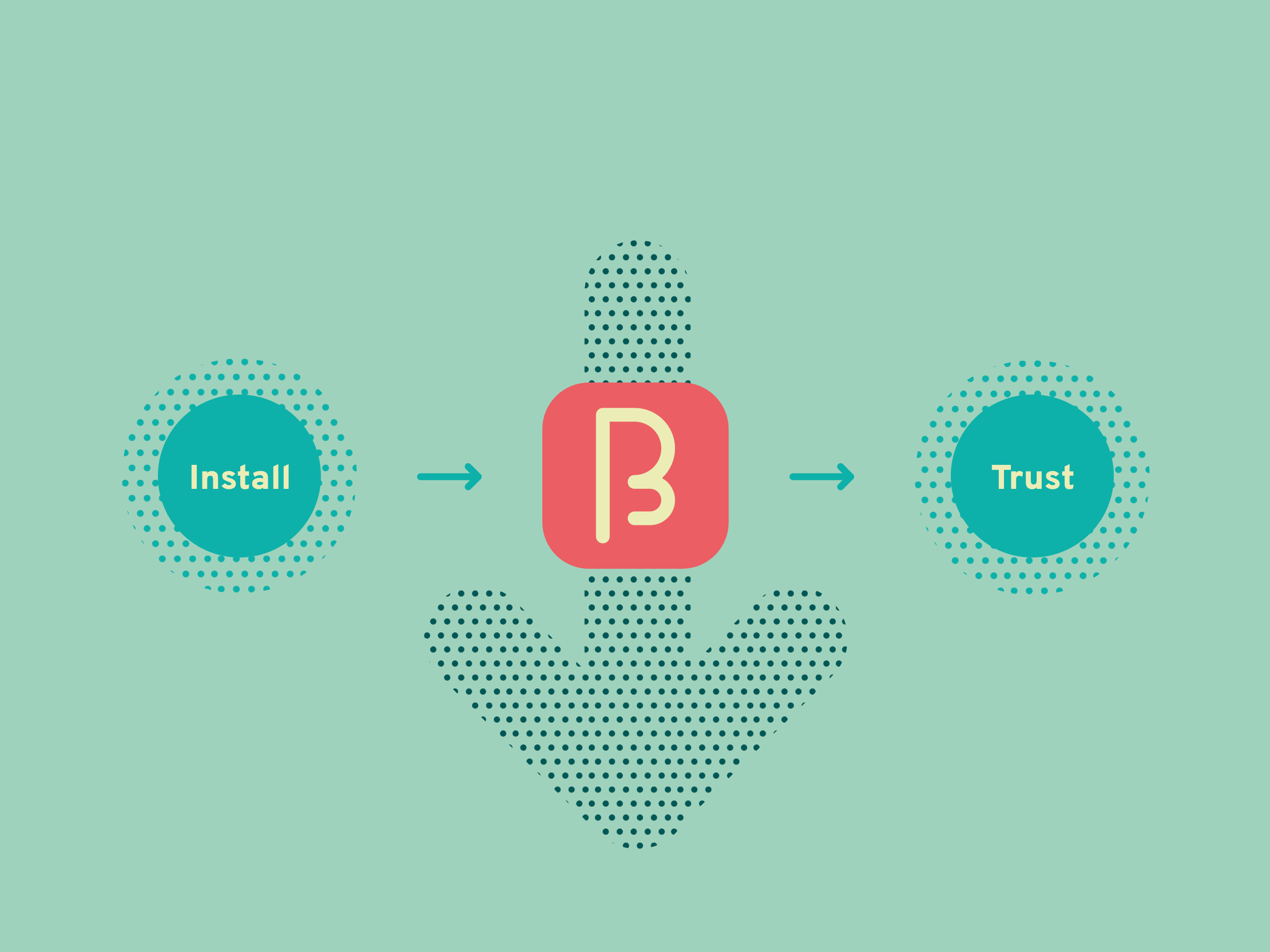Directus Asset