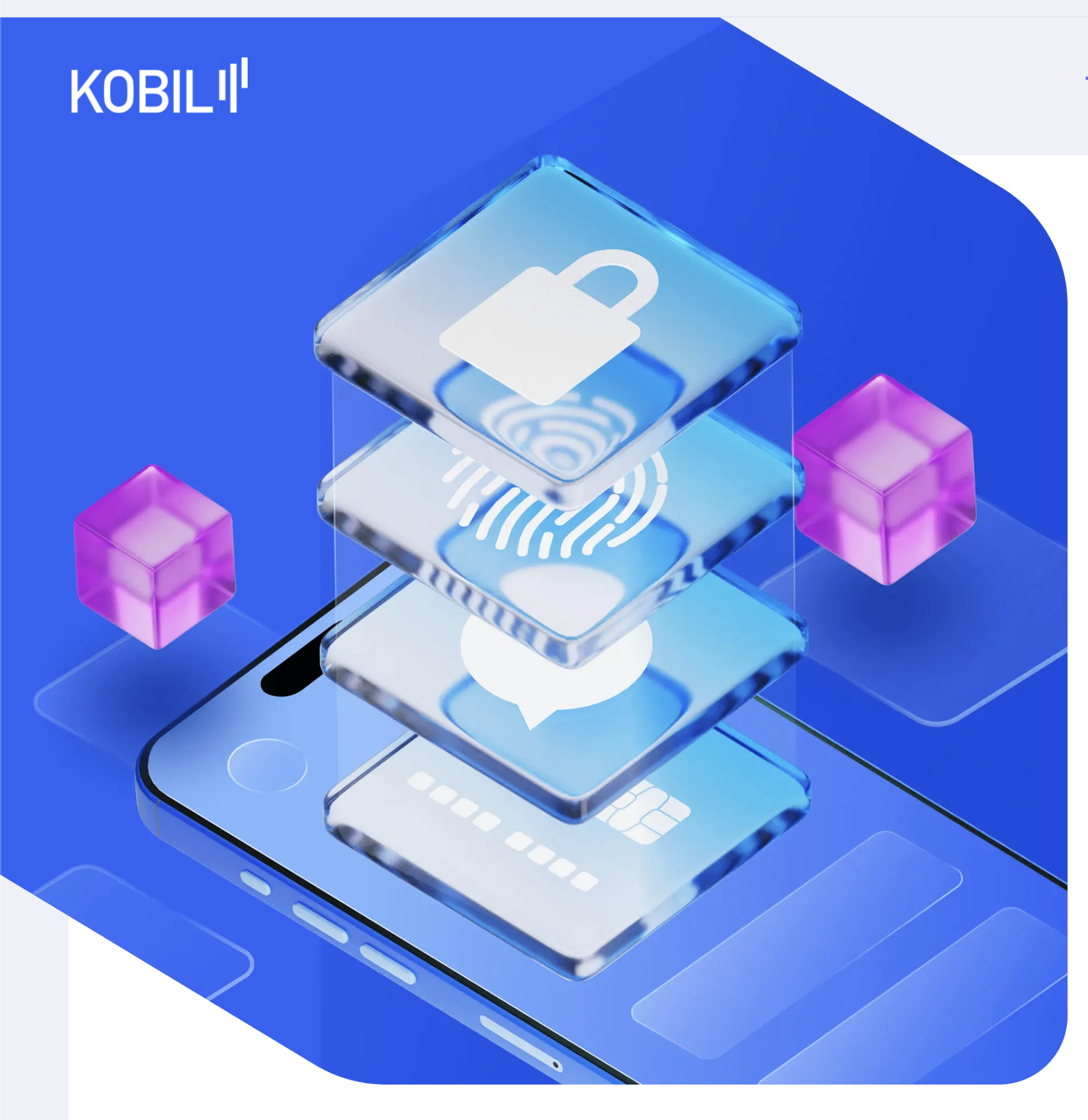 Directus Asset